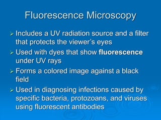 Fluorescence Microscopy
 Includes a UV radiation source and a filter
that protects the viewer’s eyes
 Used with dyes that show fluorescence
under UV rays
 Forms a colored image against a black
field
 Used in diagnosing infections caused by
specific bacteria, protozoans, and viruses
using fluorescent antibodies
 