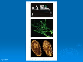 Figure 3.21
 