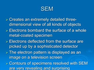 SEM
 Creates an extremely detailed three-
dimensional view of all kinds of objects
 Electrons bombard the surface of a whole
metal-coated specimen
 Electrons deflected from the surface are
picked up by a sophisticated detector
 The electron pattern is displayed as an
image on a television screen
 Contours of specimens resolved with SEM
are very revealing and surprising
 