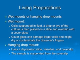 Living Preparations
 Wet mounts or hanging drop mounts
 Wet mount:
 Cells suspended in fluid, a drop or two of the
culture is then placed on a slide and overlaid with
a cover glass
 Cover glass can damage larger cells and might
dry or contaminate the observer’s fingers
 Hanging drop mount:
 Uses a depression slide, Vaseline, and coverslip
 The sample is suspended from the coverslip
 