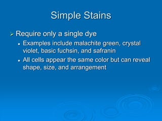 Simple Stains
 Require only a single dye
 Examples include malachite green, crystal
violet, basic fuchsin, and safranin
 All cells appear the same color but can reveal
shape, size, and arrangement
 
