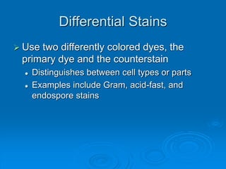 Differential Stains
 Use two differently colored dyes, the
primary dye and the counterstain
 Distinguishes between cell types or parts
 Examples include Gram, acid-fast, and
endospore stains
 
