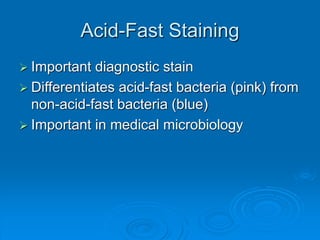 Acid-Fast Staining
 Important diagnostic stain
 Differentiates acid-fast bacteria (pink) from
non-acid-fast bacteria (blue)
 Important in medical microbiology
 