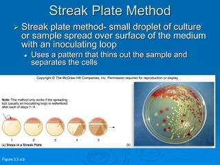 Streak Plate Method
 Streak plate method- small droplet of culture
or sample spread over surface of the medium
with an inoculating loop
 Uses a pattern that thins out the sample and
separates the cells
Figure 3.3 a,b
 