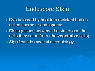 Endospore Stain
 Dye is forced by heat into resistant bodies
called spores or endospores
 Distinguishes between the stores and the
cells they come from (the vegetative cells)
 Significant in medical microbiology
 
