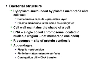 • Bacterial structure
 Cytoplasm surrounded by plasma membrane and
cell wall
• Sometimes a capsule – protective layer
• Plasma membrane is the same as eukaryotes
 Cell wall maintains the shape of a cell
 DNA – single coiled chromosome located in
nucleoid (region – not membrane enclosed)
 Ribosomes – site of protein synthesis
 Appendages
• Flagella – propulsion
• Fimbriae – attachment to surfaces
• Conjugation pili – DNA transfer
 