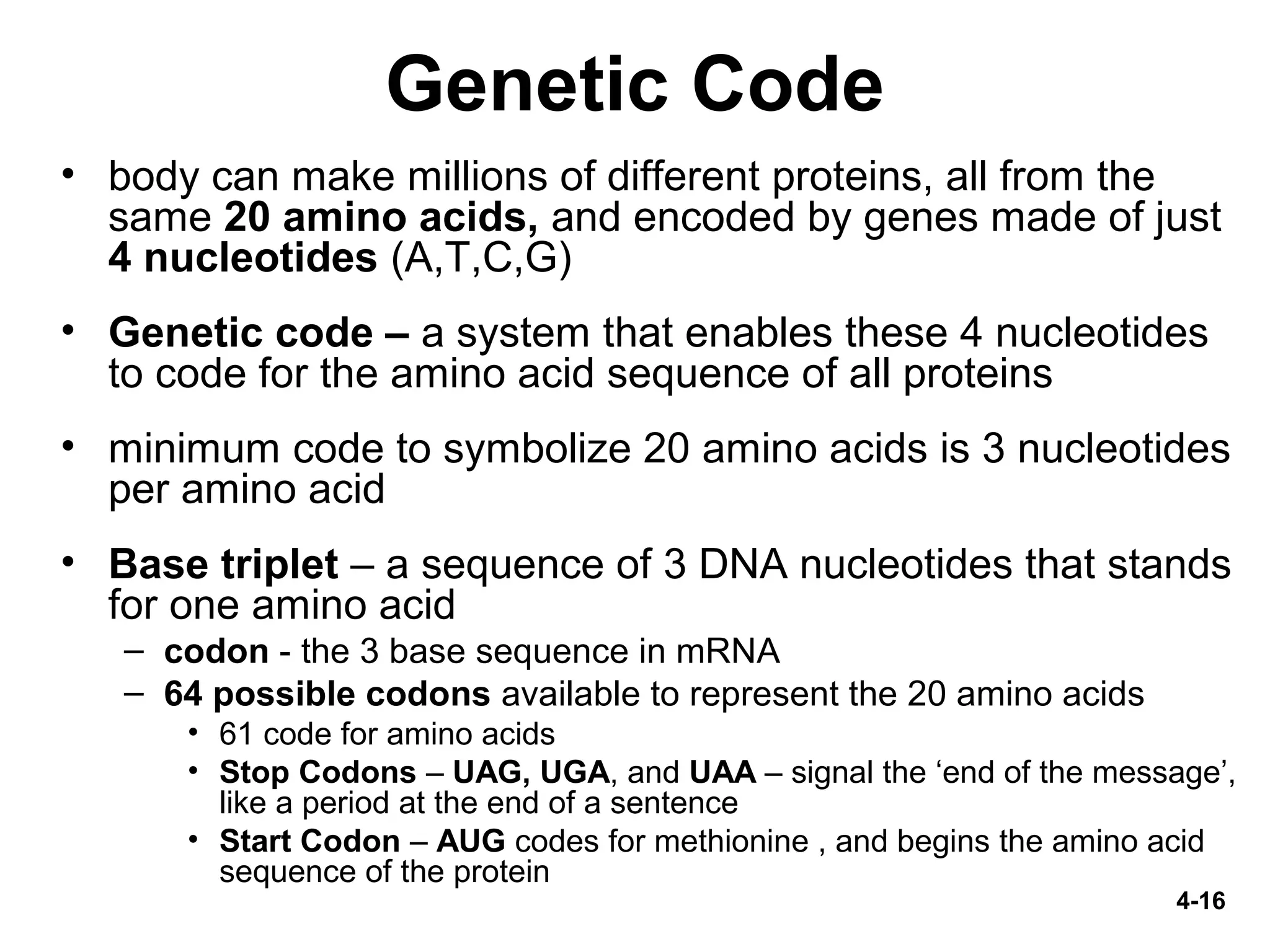 4-16
Genetic Code
• body can make millions of different proteins, all from the
same 20 amino acids, and encoded by genes made of just
4 nucleotides (A,T,C,G)
• Genetic code – a system that enables these 4 nucleotides
to code for the amino acid sequence of all proteins
• minimum code to symbolize 20 amino acids is 3 nucleotides
per amino acid
• Base triplet – a sequence of 3 DNA nucleotides that stands
for one amino acid
– codon - the 3 base sequence in mRNA
– 64 possible codons available to represent the 20 amino acids
• 61 code for amino acids
• Stop Codons – UAG, UGA, and UAA – signal the ‘end of the message’,
like a period at the end of a sentence
• Start Codon – AUG codes for methionine , and begins the amino acid
sequence of the protein
 