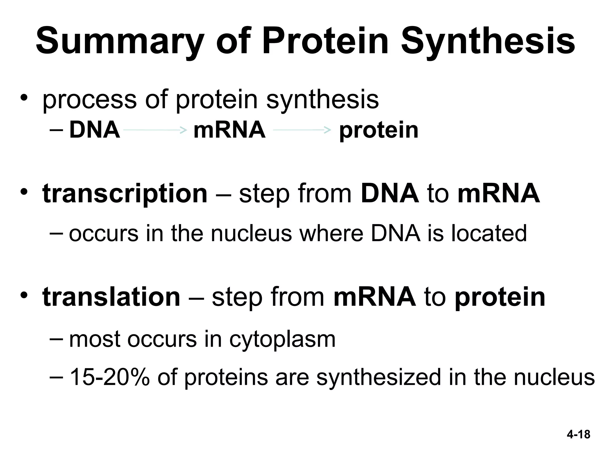 4-18
Summary of Protein Synthesis
• process of protein synthesis
– DNA mRNA protein
• transcription – step from DNA to mRNA
– occurs in the nucleus where DNA is located
• translation – step from mRNA to protein
– most occurs in cytoplasm
– 15-20% of proteins are synthesized in the nucleus
 