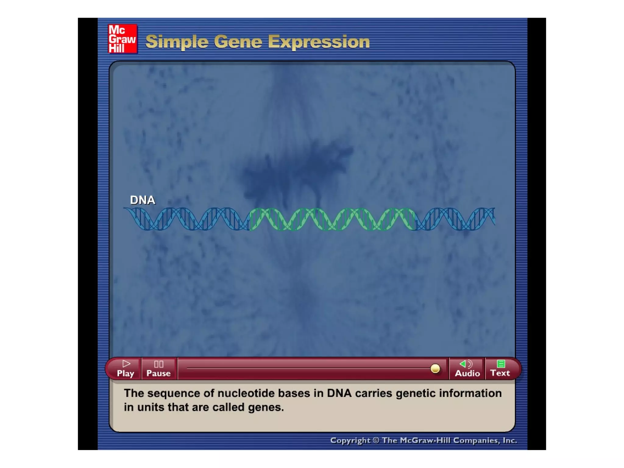 Please note that due to differing
operating systems, some animations
will not appear until the presentation is
viewed in Presentation Mode (Slide
Show view). You may see blank slides
in the “Normal” or “Slide Sorter” views.
All animations will appear after viewing
in Presentation Mode and playing each
animation. Most animations will require
the latest version of the Flash Player,
which is available at
http://get.adobe.com/flashplayer.
 