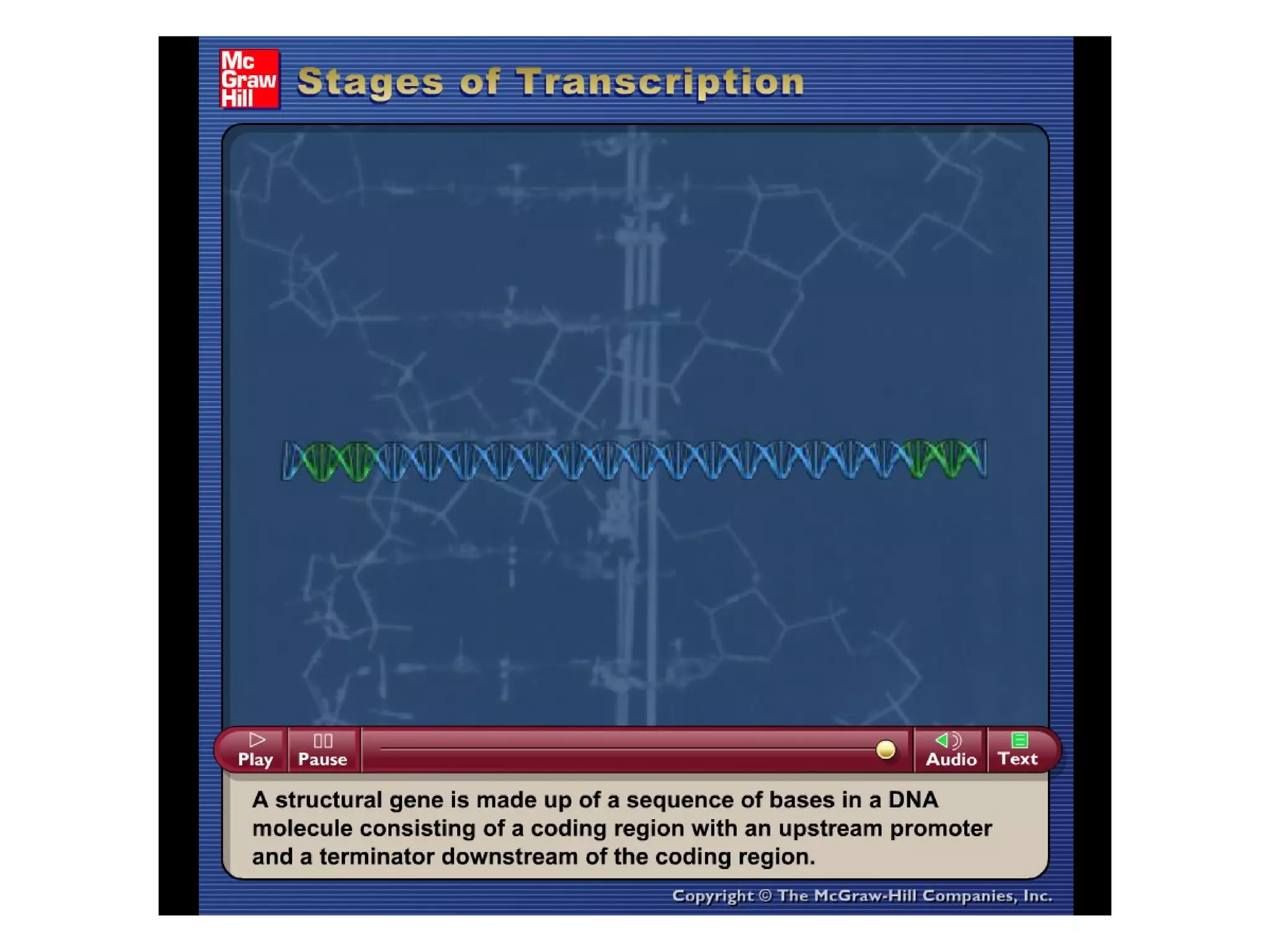 Please note that due to differing
operating systems, some animations
will not appear until the presentation is
viewed in Presentation Mode (Slide
Show view). You may see blank slides
in the “Normal” or “Slide Sorter” views.
All animations will appear after viewing
in Presentation Mode and playing each
animation. Most animations will require
the latest version of the Flash Player,
which is available at
http://get.adobe.com/flashplayer.
 
