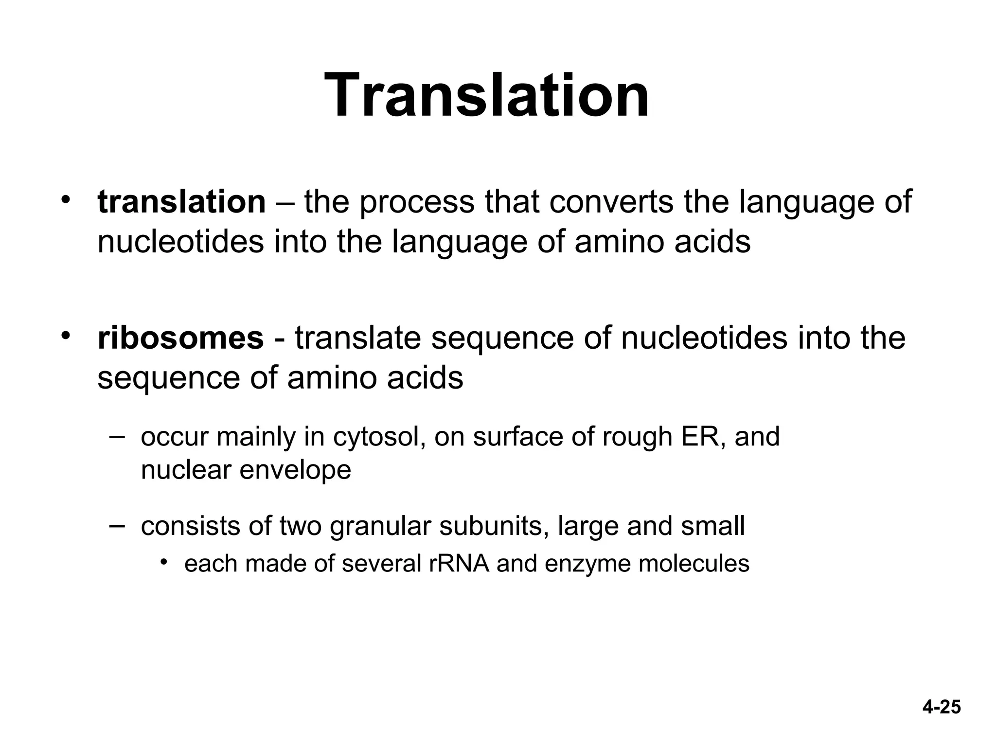 4-25
Translation
• translation – the process that converts the language of
nucleotides into the language of amino acids
• ribosomes - translate sequence of nucleotides into the
sequence of amino acids
– occur mainly in cytosol, on surface of rough ER, and
nuclear envelope
– consists of two granular subunits, large and small
• each made of several rRNA and enzyme molecules
 