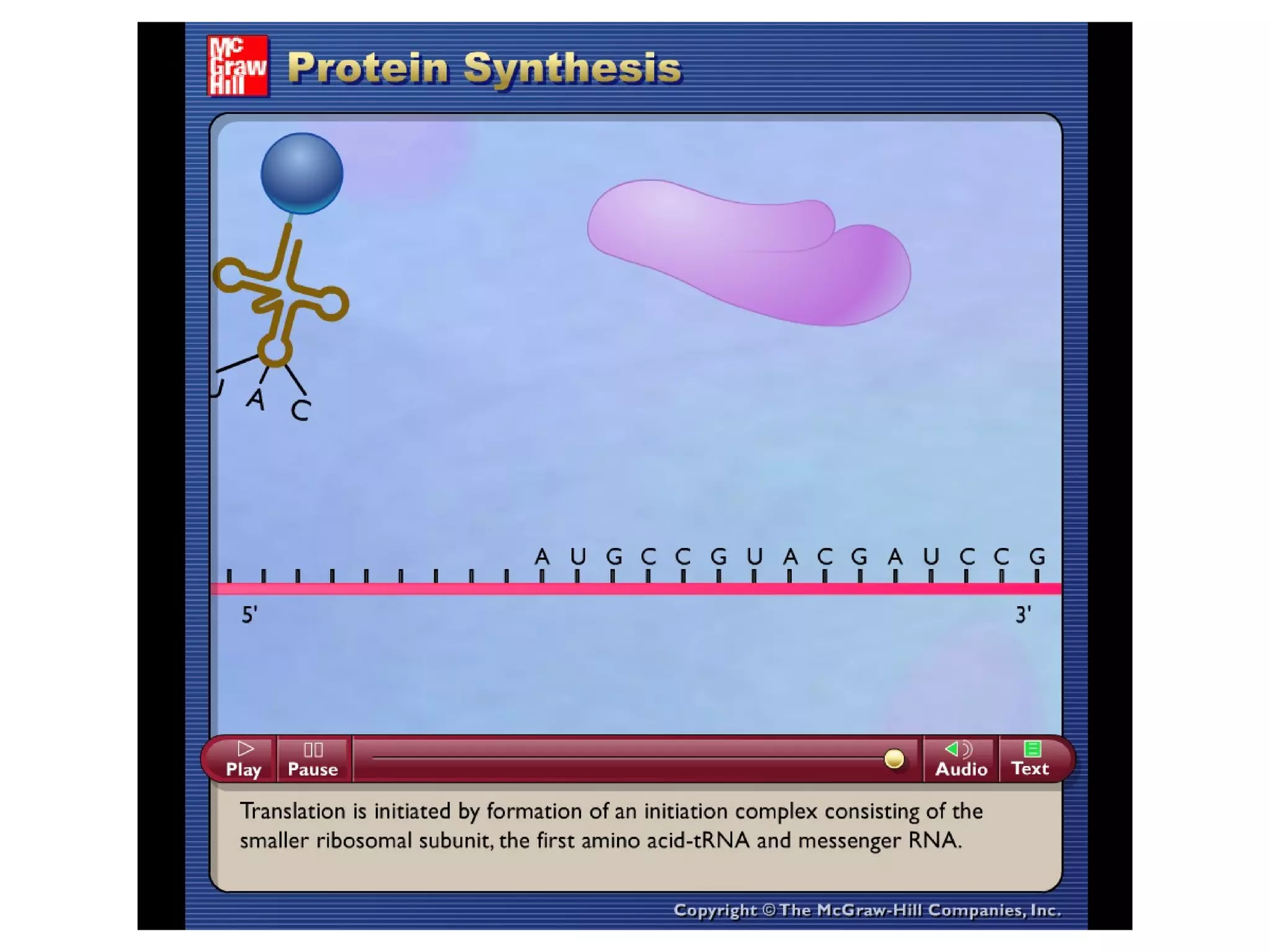 Please note that due to differing
operating systems, some animations
will not appear until the presentation is
viewed in Presentation Mode (Slide
Show view). You may see blank slides
in the “Normal” or “Slide Sorter” views.
All animations will appear after viewing
in Presentation Mode and playing each
animation. Most animations will require
the latest version of the Flash Player,
which is available at
http://get.adobe.com/flashplayer.
 