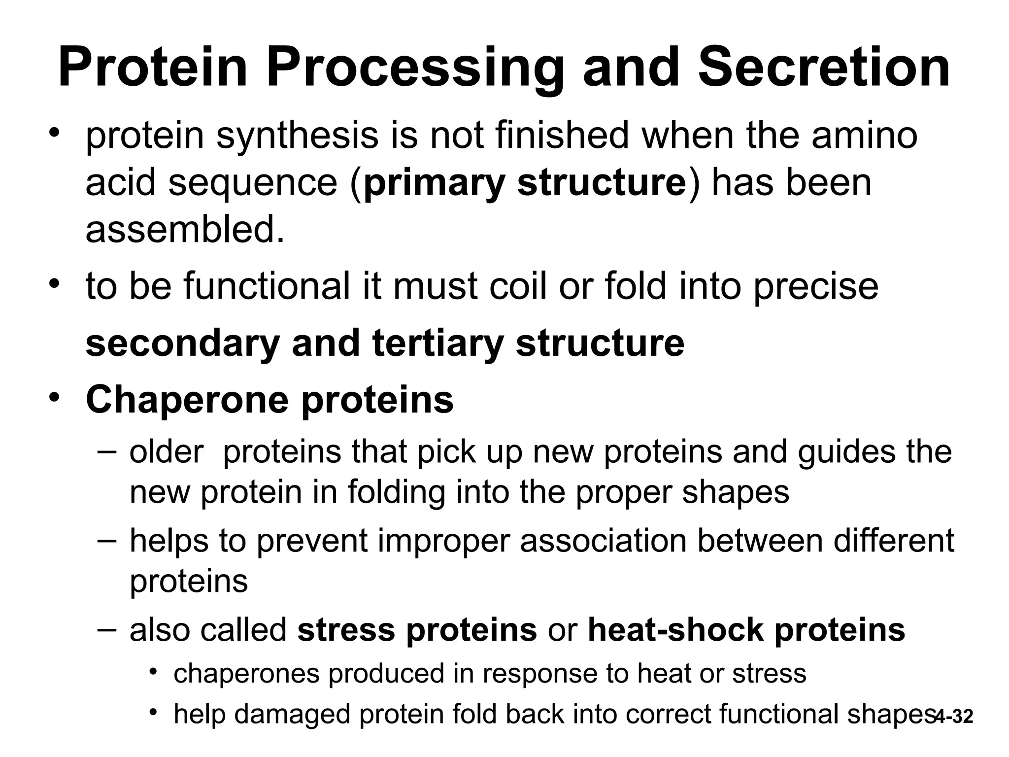 4-32
Protein Processing and Secretion
• protein synthesis is not finished when the amino
acid sequence (primary structure) has been
assembled.
• to be functional it must coil or fold into precise
secondary and tertiary structure
• Chaperone proteins
– older proteins that pick up new proteins and guides the
new protein in folding into the proper shapes
– helps to prevent improper association between different
proteins
– also called stress proteins or heat-shock proteins
• chaperones produced in response to heat or stress
• help damaged protein fold back into correct functional shapes
 