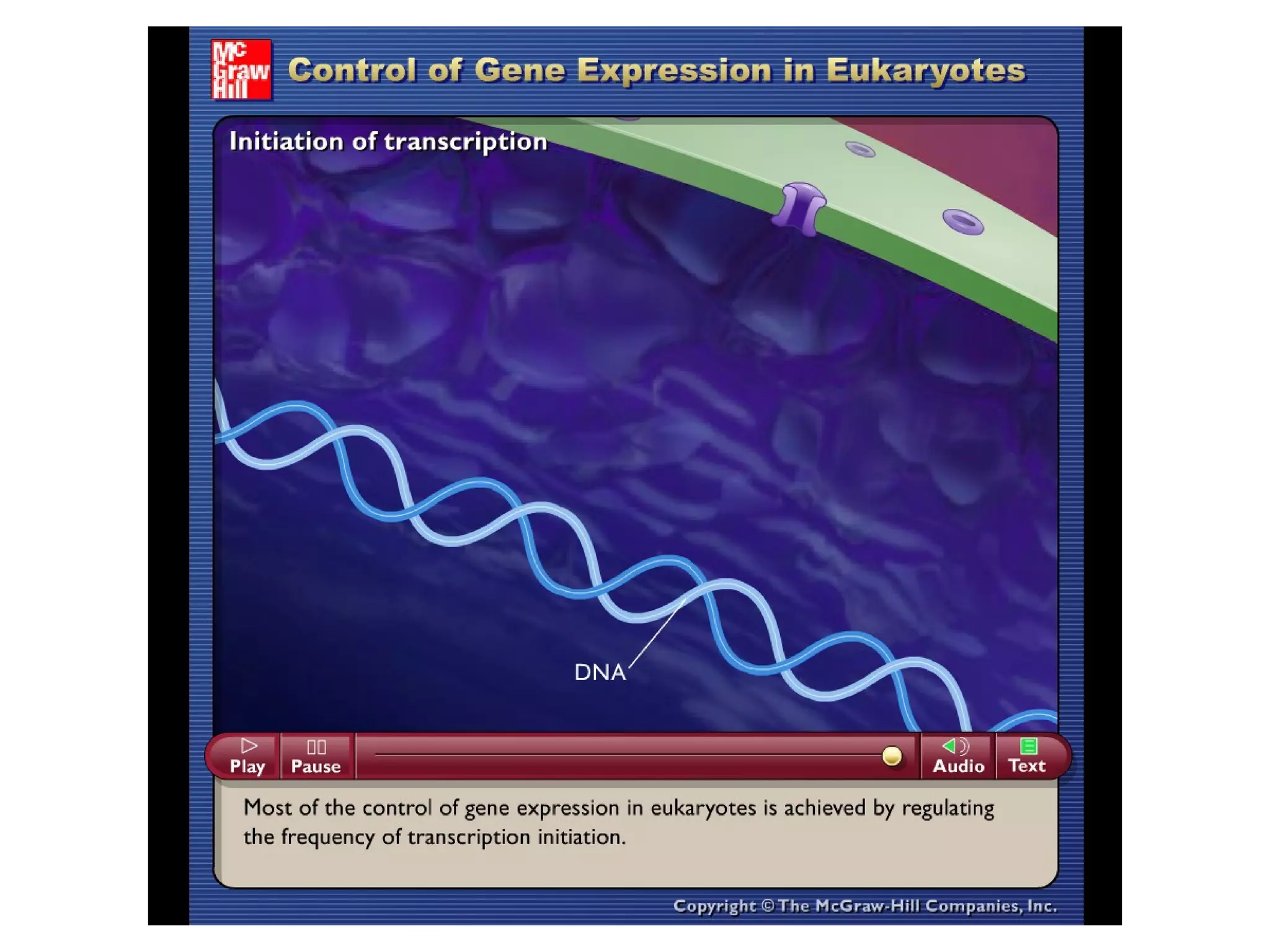 Please note that due to differing
operating systems, some animations
will not appear until the presentation is
viewed in Presentation Mode (Slide
Show view). You may see blank slides
in the “Normal” or “Slide Sorter” views.
All animations will appear after viewing
in Presentation Mode and playing each
animation. Most animations will require
the latest version of the Flash Player,
which is available at
http://get.adobe.com/flashplayer.
 