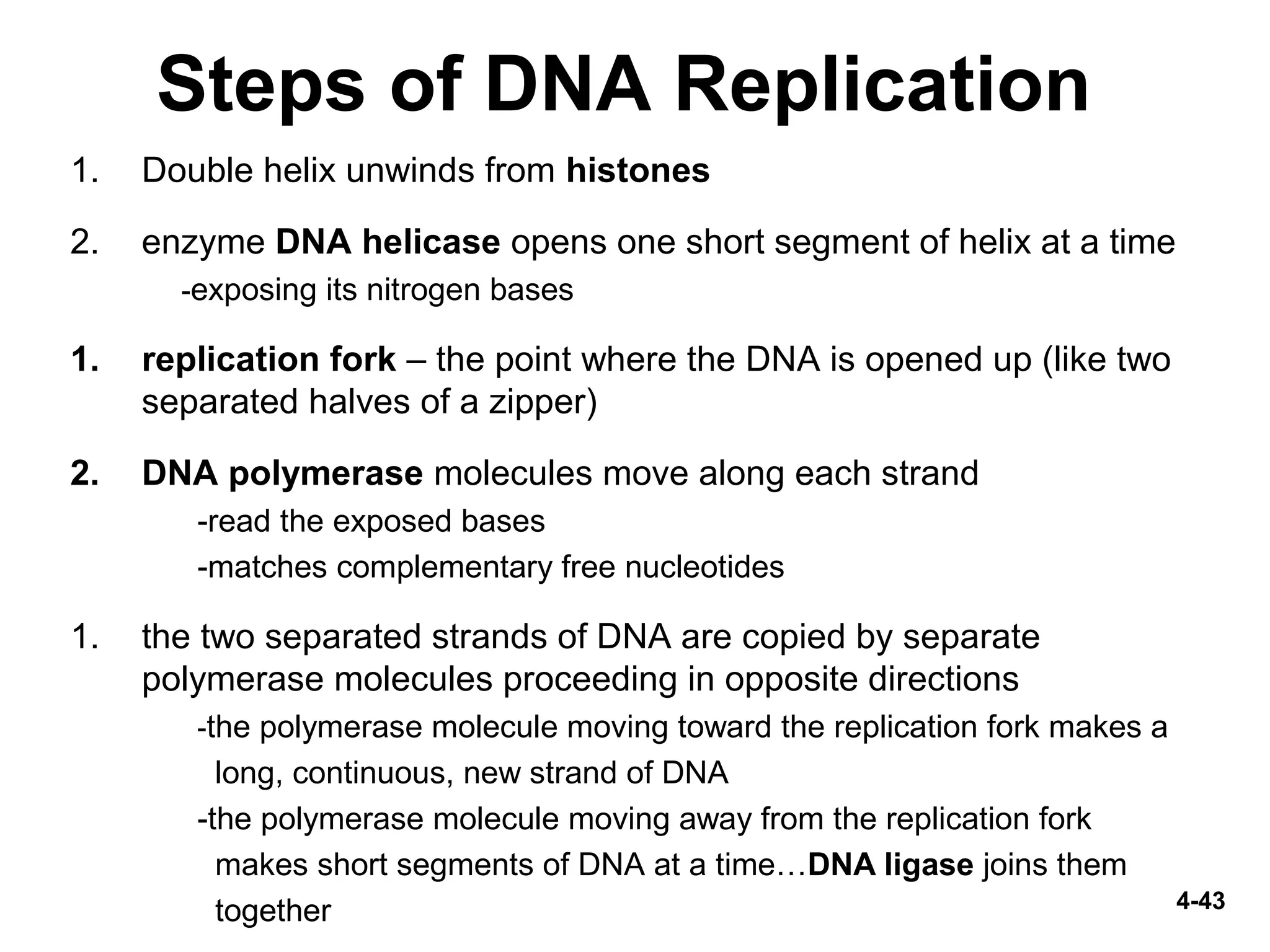 4-43
Steps of DNA Replication
1. Double helix unwinds from histones
2. enzyme DNA helicase opens one short segment of helix at a time
-exposing its nitrogen bases
1. replication fork – the point where the DNA is opened up (like two
separated halves of a zipper)
2. DNA polymerase molecules move along each strand
-read the exposed bases
-matches complementary free nucleotides
1. the two separated strands of DNA are copied by separate
polymerase molecules proceeding in opposite directions
-the polymerase molecule moving toward the replication fork makes a
long, continuous, new strand of DNA
-the polymerase molecule moving away from the replication fork
makes short segments of DNA at a time…DNA ligase joins them
together
 