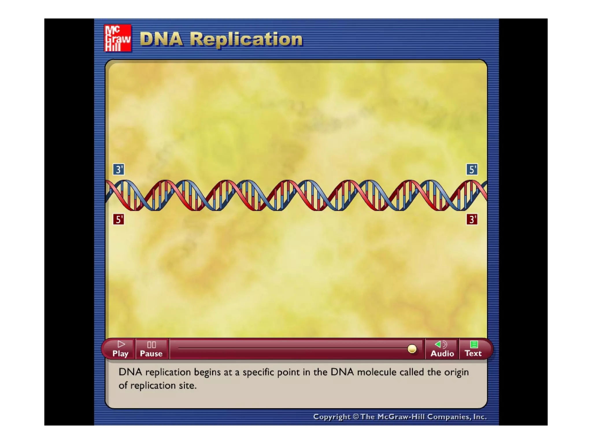 Please note that due to differing
operating systems, some animations
will not appear until the presentation is
viewed in Presentation Mode (Slide
Show view). You may see blank slides
in the “Normal” or “Slide Sorter” views.
All animations will appear after viewing
in Presentation Mode and playing each
animation. Most animations will require
the latest version of the Flash Player,
which is available at
http://get.adobe.com/flashplayer.
 