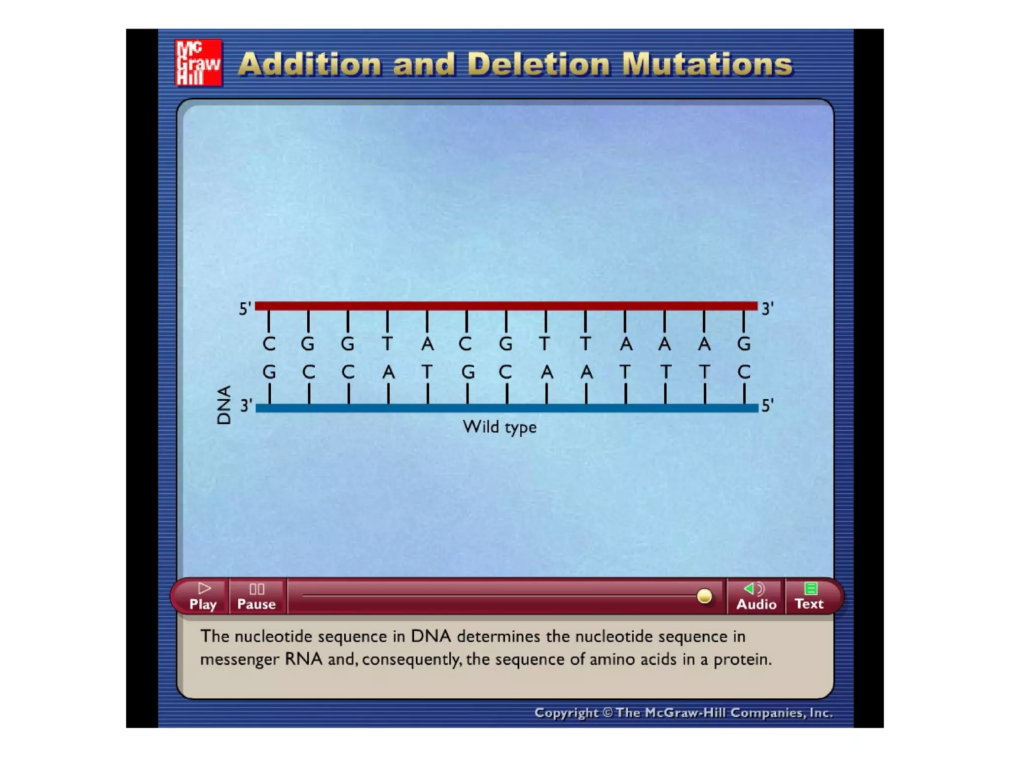 Please note that due to differing
operating systems, some animations
will not appear until the presentation is
viewed in Presentation Mode (Slide
Show view). You may see blank slides
in the “Normal” or “Slide Sorter” views.
All animations will appear after viewing
in Presentation Mode and playing each
animation. Most animations will require
the latest version of the Flash Player,
which is available at
http://get.adobe.com/flashplayer.
 