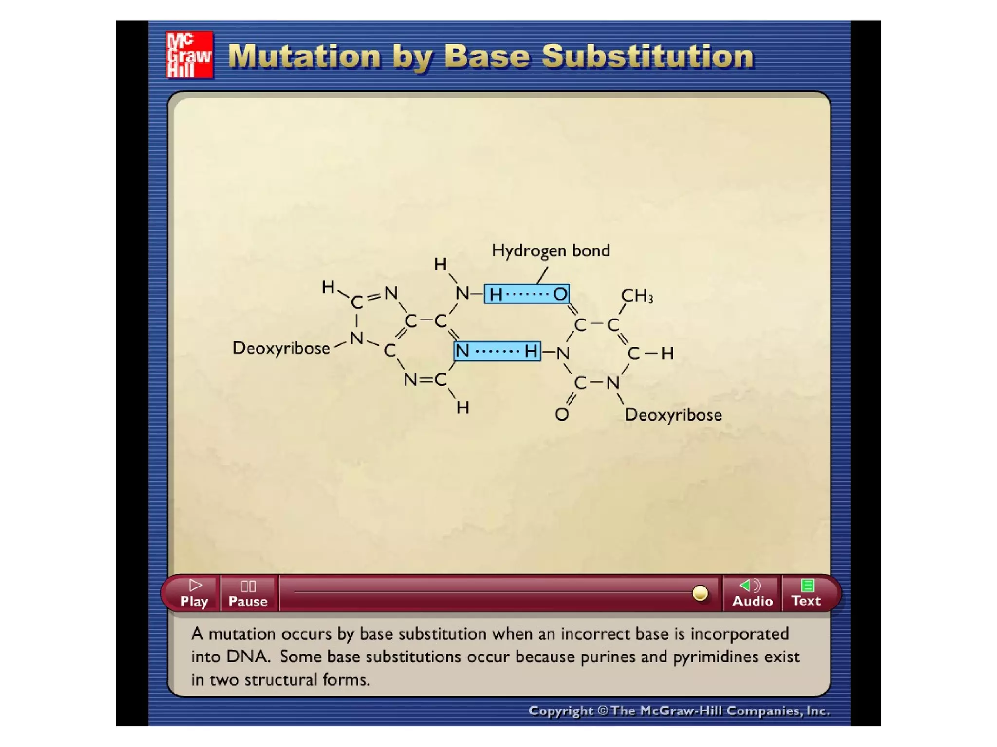 Please note that due to differing
operating systems, some animations
will not appear until the presentation is
viewed in Presentation Mode (Slide
Show view). You may see blank slides
in the “Normal” or “Slide Sorter” views.
All animations will appear after viewing
in Presentation Mode and playing each
animation. Most animations will require
the latest version of the Flash Player,
which is available at
http://get.adobe.com/flashplayer.
 