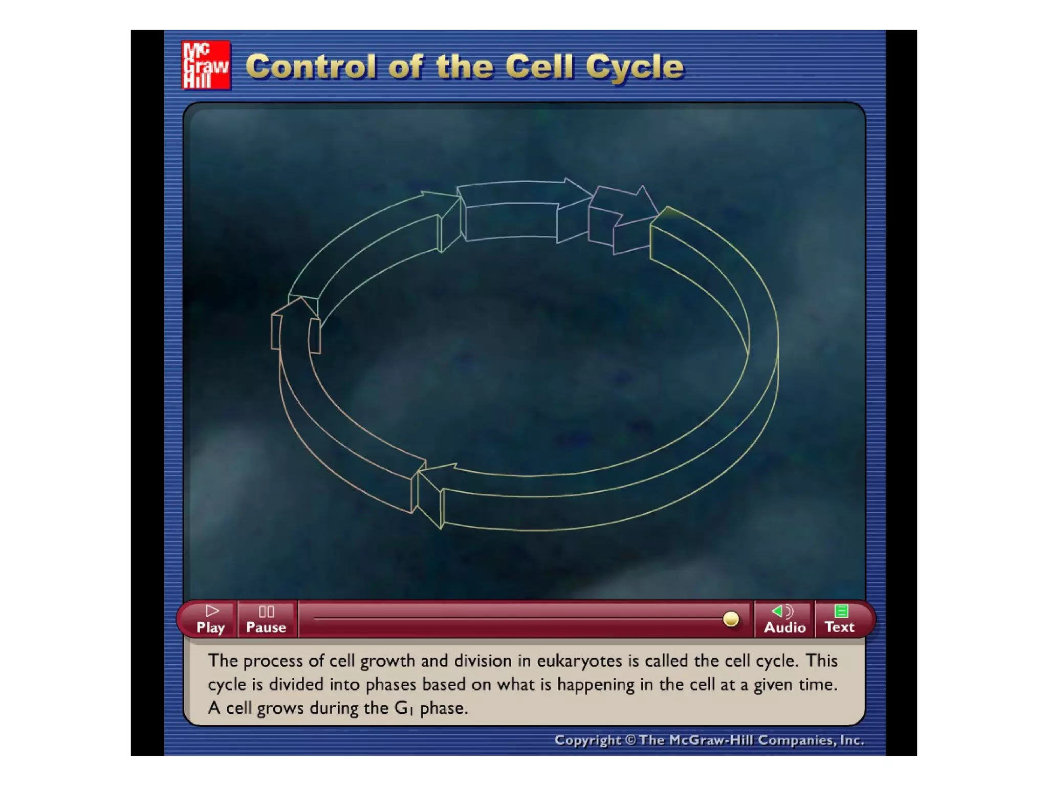 Please note that due to differing
operating systems, some animations
will not appear until the presentation is
viewed in Presentation Mode (Slide
Show view). You may see blank slides
in the “Normal” or “Slide Sorter” views.
All animations will appear after viewing
in Presentation Mode and playing each
animation. Most animations will require
the latest version of the Flash Player,
which is available at
http://get.adobe.com/flashplayer.
 