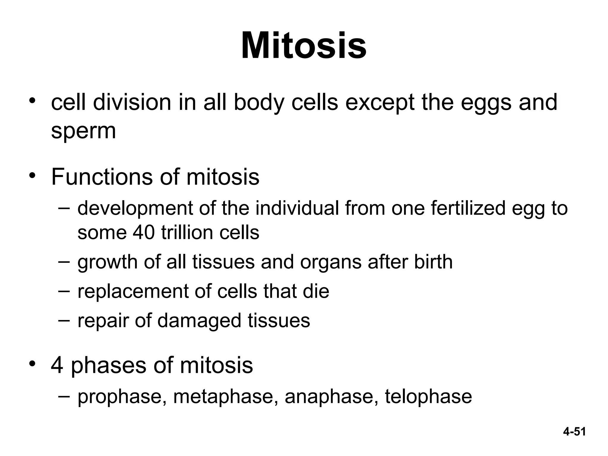 4-51
Mitosis
• cell division in all body cells except the eggs and
sperm
• Functions of mitosis
– development of the individual from one fertilized egg to
some 40 trillion cells
– growth of all tissues and organs after birth
– replacement of cells that die
– repair of damaged tissues
• 4 phases of mitosis
– prophase, metaphase, anaphase, telophase
 