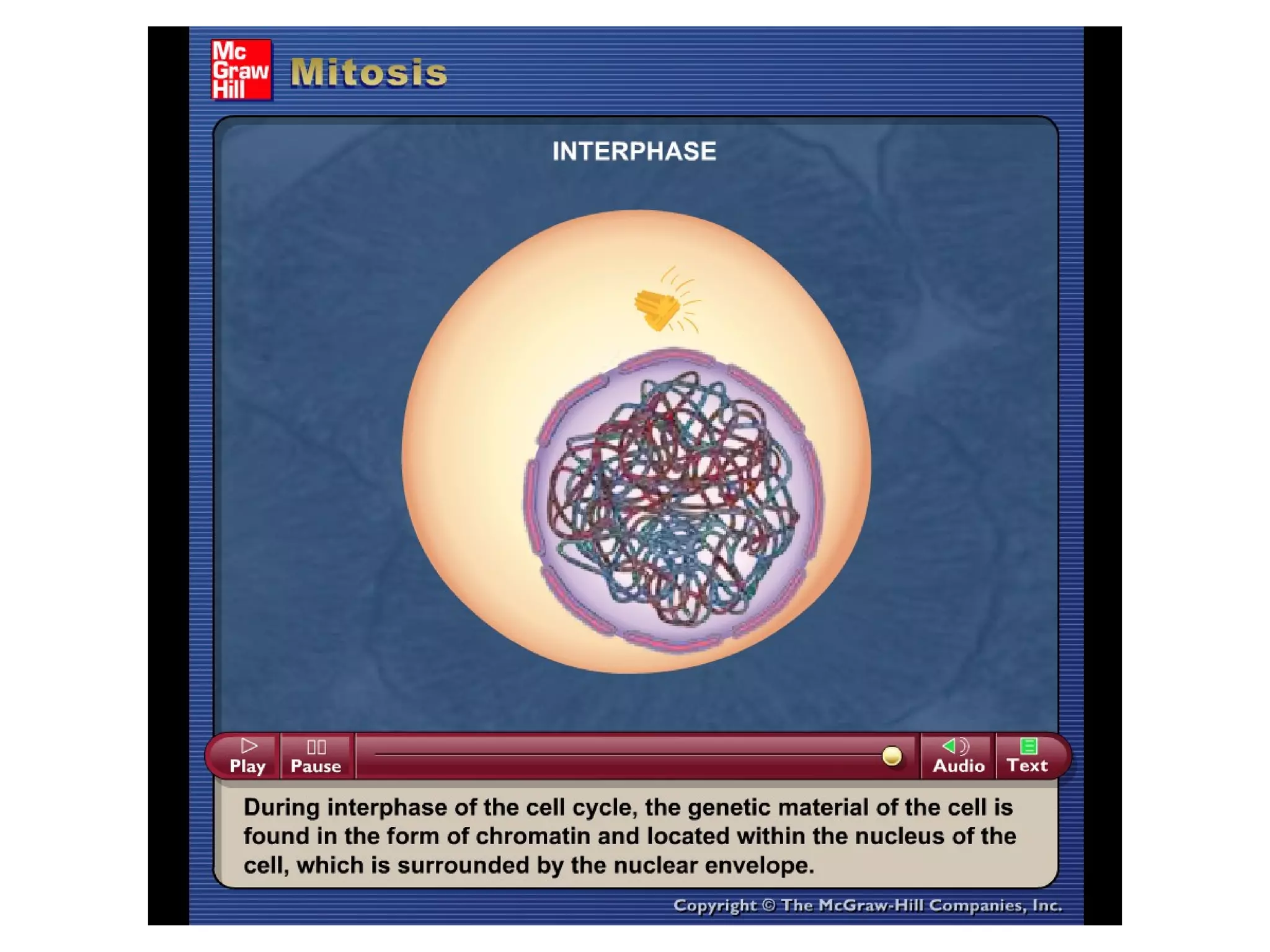 Please note that due to differing
operating systems, some animations
will not appear until the presentation is
viewed in Presentation Mode (Slide
Show view). You may see blank slides
in the “Normal” or “Slide Sorter” views.
All animations will appear after viewing
in Presentation Mode and playing each
animation. Most animations will require
the latest version of the Flash Player,
which is available at
http://get.adobe.com/flashplayer.
 