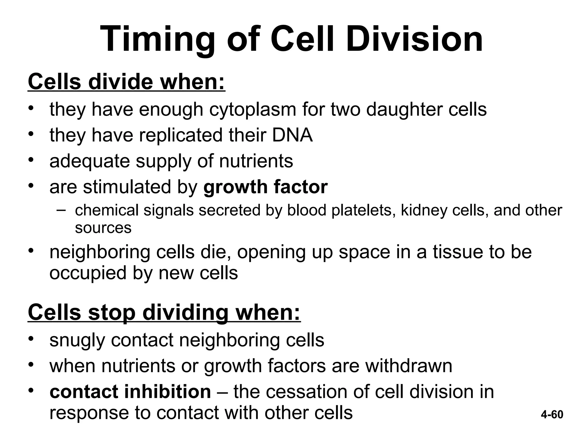 4-60
Timing of Cell Division
Cells divide when:
• they have enough cytoplasm for two daughter cells
• they have replicated their DNA
• adequate supply of nutrients
• are stimulated by growth factor
– chemical signals secreted by blood platelets, kidney cells, and other
sources
• neighboring cells die, opening up space in a tissue to be
occupied by new cells
Cells stop dividing when:
• snugly contact neighboring cells
• when nutrients or growth factors are withdrawn
• contact inhibition – the cessation of cell division in
response to contact with other cells
 