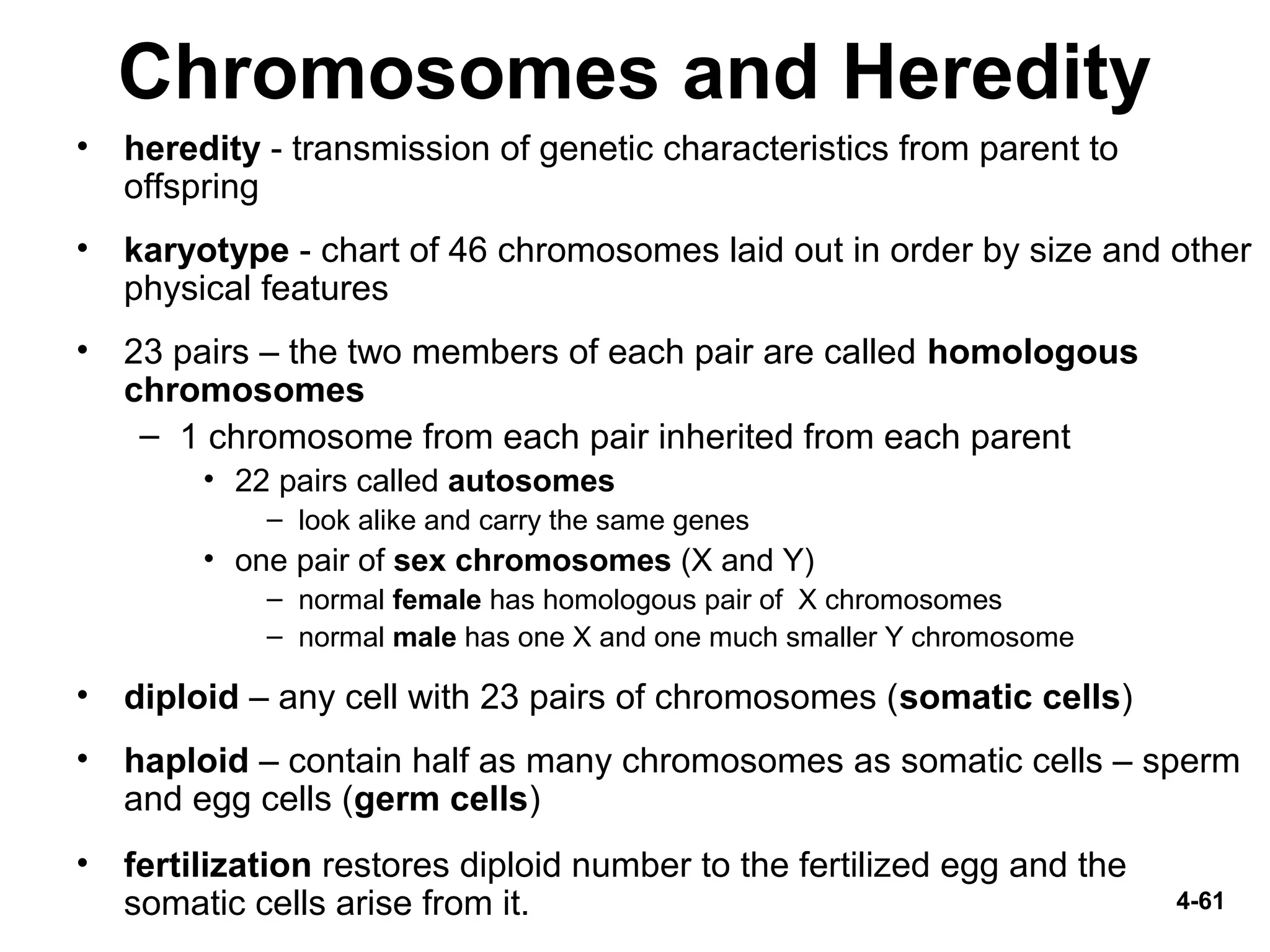 4-61
Chromosomes and Heredity
• heredity - transmission of genetic characteristics from parent to
offspring
• karyotype - chart of 46 chromosomes laid out in order by size and other
physical features
• 23 pairs – the two members of each pair are called homologous
chromosomes
– 1 chromosome from each pair inherited from each parent
• 22 pairs called autosomes
– look alike and carry the same genes
• one pair of sex chromosomes (X and Y)
– normal female has homologous pair of X chromosomes
– normal male has one X and one much smaller Y chromosome
• diploid – any cell with 23 pairs of chromosomes (somatic cells)
• haploid – contain half as many chromosomes as somatic cells – sperm
and egg cells (germ cells)
• fertilization restores diploid number to the fertilized egg and the
somatic cells arise from it.
 