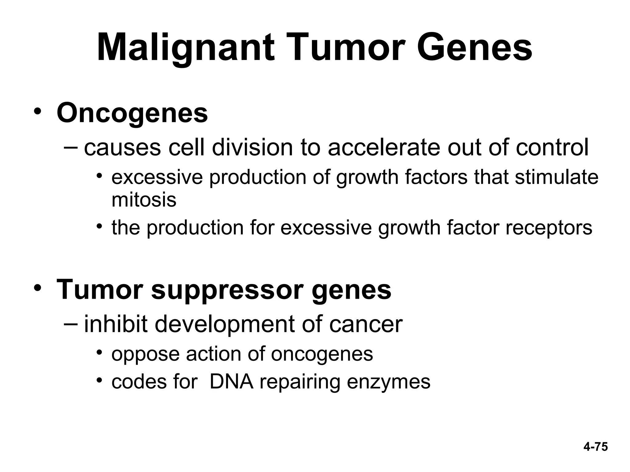 4-75
Malignant Tumor Genes
• Oncogenes
– causes cell division to accelerate out of control
• excessive production of growth factors that stimulate
mitosis
• the production for excessive growth factor receptors
• Tumor suppressor genes
– inhibit development of cancer
• oppose action of oncogenes
• codes for DNA repairing enzymes
 