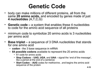 Genetics and Cellular Function | PPT