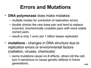 Replication Error Mutation Genetics and Cellular Function | PPT