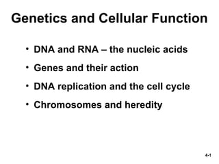 4-1
Genetics and Cellular Function
• DNA and RNA – the nucleic acids
• Genes and their action
• DNA replication and the cell cycle
• Chromosomes and heredity
 