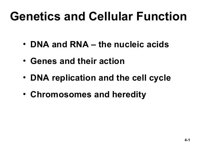 Genetics And Cellular Function
