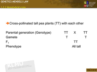 GENETICS MENDELS LAW

1.2.2 Monohybrid cross




    Cross-pollinated tall pea plants (TT) with each other

    Parental generation (Genotype)          TT     X         TT
    Gamete                                   T                T
    F1                                             TT
    Phenotype                                     All tall




                                                                  11
                                                              Slide 11 of 10
 