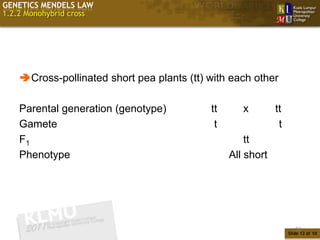 GENETICS MENDELS LAW
1.2.2 Monohybrid cross




    Cross-pollinated short pea plants (tt) with each other

    Parental generation (genotype)          tt      x        tt
    Gamete                                   t                t
    F1                                               tt
    Phenotype                                    All short




                                                                     12
                                                                  Slide 12 of 10
 