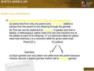 GENETICS MENDELS LAW

1.2.2 Monohybrid cross

Mendel’s Laws of Inheritance


     Mendel first law of inheritance (The law of segregation)
      (a) states that from only one parent only one factor (allele) is
      passes from the parent to the offspring through the gamete.
      (b) This law can be explained by meiosis. In garden pea that is
      diploid, a heterozygous yellow seed (Yy) can only transmit one of
      the alleles to each of its offspring. (Y is a dominant allele for yellow
      seed coat whereas y is a recessive allele for green seed coat)
                     Parent (P1):                  Yy (yellow)



                      Gametes:                Y           y
        (c) Each gamete can only obtain one allele from the parent because
        meiosis reduces a diploid gamete mother cell to haploid gamete


                                                                                    16
                                                                                 Slide 16 of 10
 