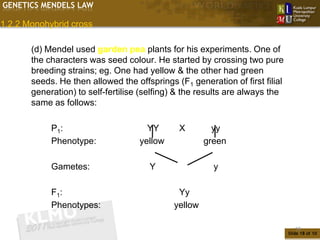 GENETICS MENDELS LAW

1.2.2 Monohybrid cross

       (d) Mendel used garden pea plants for his experiments. One of
       the characters was seed colour. He started by crossing two pure
       breeding strains; eg. One had yellow & the other had green
       seeds. He then allowed the offsprings (F1 generation of first filial
       generation) to self-fertilise (selfing) & the results are always the
       same as follows:

            P1:                       YY      X         yy
            Phenotype:              yellow            green

            Gametes:                  Y                 y

            F1:                               Yy
            Phenotypes:                      yellow

                                                                                 18
                                                                              Slide 18 of 10
 