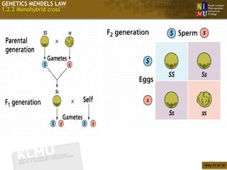 GENETICS MENDELS LAW
1.2.2 Monohybrid cross




                            21
                         Slide 21 of 10
 