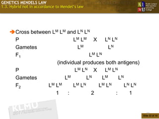 GENETICS MENDELS LAW
1.3. Hybrid not in accordance to Mendel’s law




    Cross between LM LM and LN LN
     P                       LM LM X       LN LN
     Gametes                  LM             LN
     F1                             LM LN
                     (individual produces both antigens)
     P                       LM LN X       LM LN
     Gametes             LM        LN     LM      LN
     F2          LM LM       LM LN      LM LN        LN LN
                    1     :          2          :      1


                                                                32
                                                             Slide 32 of 10
 