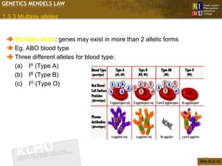 GENETICS MENDELS LAW

1.3.3 Multiple alleles


  Multiple allele: genes may exist in more than 2 allelic forms
  Eg. ABO blood type
  Three different alleles for blood type:
   (a) IA (Type A)
   (b) IB (Type B)
   (c) IO (Type O)




                                                                      35
                                                                   Slide 35 of 10
 