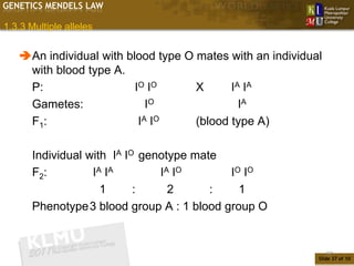 GENETICS MENDELS LAW

1.3.3 Multiple alleles


   An individual with blood type O mates with an individual
    with blood type A.
    P:                   IO IO      X      IA IA
    Gametes:                IO               IA
    F1:                   IA IO     (blood type A)

       Individual with IA IO genotype mate
       F2:         IA IA        IA IO      IO IO
                     1      :     2      :   1
       Phenotype3 blood group A : 1 blood group O


                                                               37
                                                           Slide 37 of 10
 