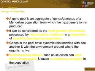 GENETICS MENDELS LAW

1.2. Principle
Concept of a Gene Pool


    A gene pool is an aggregate of genes/gametes of a
     Mendelian population from which the next generation is
     produced
    It can be considered as the total genetic information
     possessed by reproductive members in a population
     of sexually reproducing organisms.
    Genes in the pool have dynamic relationships with one
     another & with the environment around where the
     organisms live
    Environmental factors such as selection can alter
     allelic frequencies & cause evolutionary changes in
     the population
                                                              47
                                                          Slide 47 of 10
 