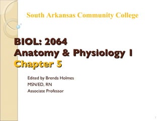 BIOL: 2064 Anatomy & Physiology 1 Chapter 5 Edited by Brenda Holmes MSN/ED, RN Associate Professor South Arkansas Community College 