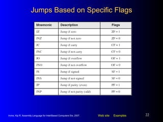 Jumps Based on Specific Flags 