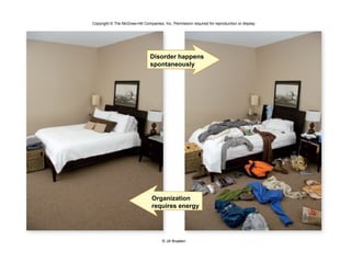 Copyright © The McGraw-Hill Companies, Inc. Permission required for reproduction or display.
Disorder happens
spontaneously
Organization
requires energy
© Jill Braaten
 