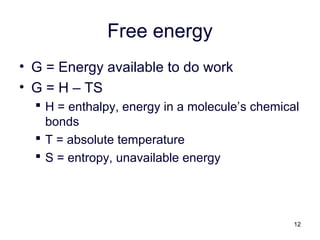 12
Free energy
• G = Energy available to do work
• G = H – TS
 H = enthalpy, energy in a molecule’s chemical
bonds
 T = absolute temperature
 S = entropy, unavailable energy
 
