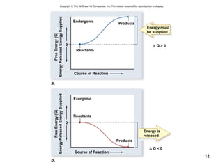 14
Copyright © The McGraw-Hill Companies, Inc. Permission required for reproduction or display.
a.
b.
0
0
Course of Reaction
Products
∆ G > 0
∆ G < 0
Reactants
Reactants
Course of Reaction
Products
FreeEnergy(G)
EnergyReleasedEnergySupplied
FreeEnergy(G)
EnergyReleasedEnergySupplied
Energy is
released
Energy must
be supplied
Exergonic
Endergonic
 