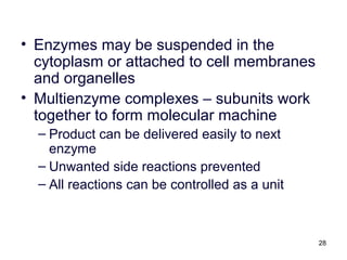 28
• Enzymes may be suspended in the
cytoplasm or attached to cell membranes
and organelles
• Multienzyme complexes – subunits work
together to form molecular machine
– Product can be delivered easily to next
enzyme
– Unwanted side reactions prevented
– All reactions can be controlled as a unit
 
