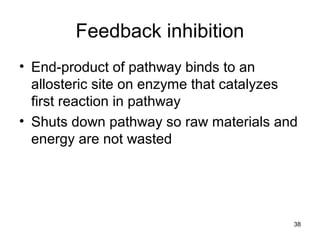 Feedback inhibition
• End-product of pathway binds to an
allosteric site on enzyme that catalyzes
first reaction in pathway
• Shuts down pathway so raw materials and
energy are not wasted
38
 