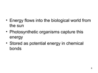 • Energy flows into the biological world from
the sun
• Photosynthetic organisms capture this
energy
• Stored as potential energy in chemical
bonds
6
 