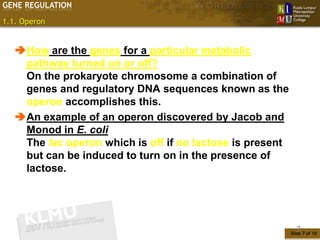 GENE REGULATION

1.1. Operon


   How are the genes for a particular metabolic
    pathway turned on or off?
    On the prokaryote chromosome a combination of
    genes and regulatory DNA sequences known as the
    operon accomplishes this.
   An example of an operon discovered by Jacob and
    Monod in E. coli
    The lac operon which is off if no lactose is present
    but can be induced to turn on in the presence of
    lactose.




                                                             7
                                                           Slide 7 of 10
 